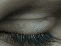 0111.gif